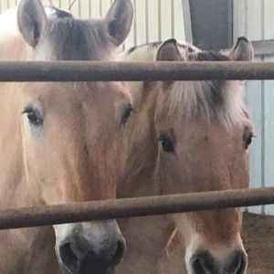 Meet your Posher, Janine